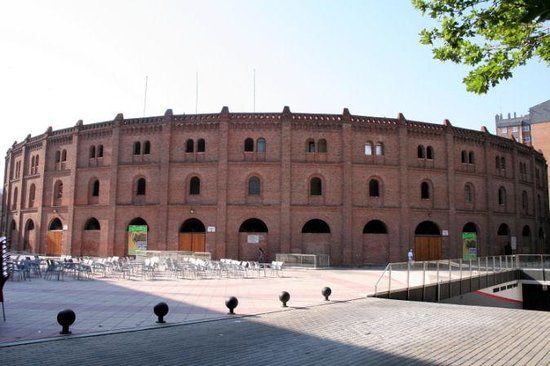 Museo del Toro